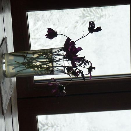 Saint-Pierre-d'Entremont  La Chouette A L'Heure Du Pinson B&B 객실 사진
