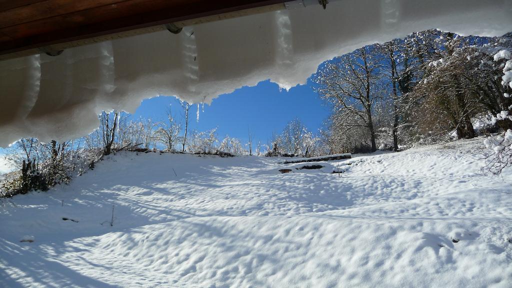 Saint-Pierre-d'Entremont  La Chouette A L'Heure Du Pinson B&B 외부 사진