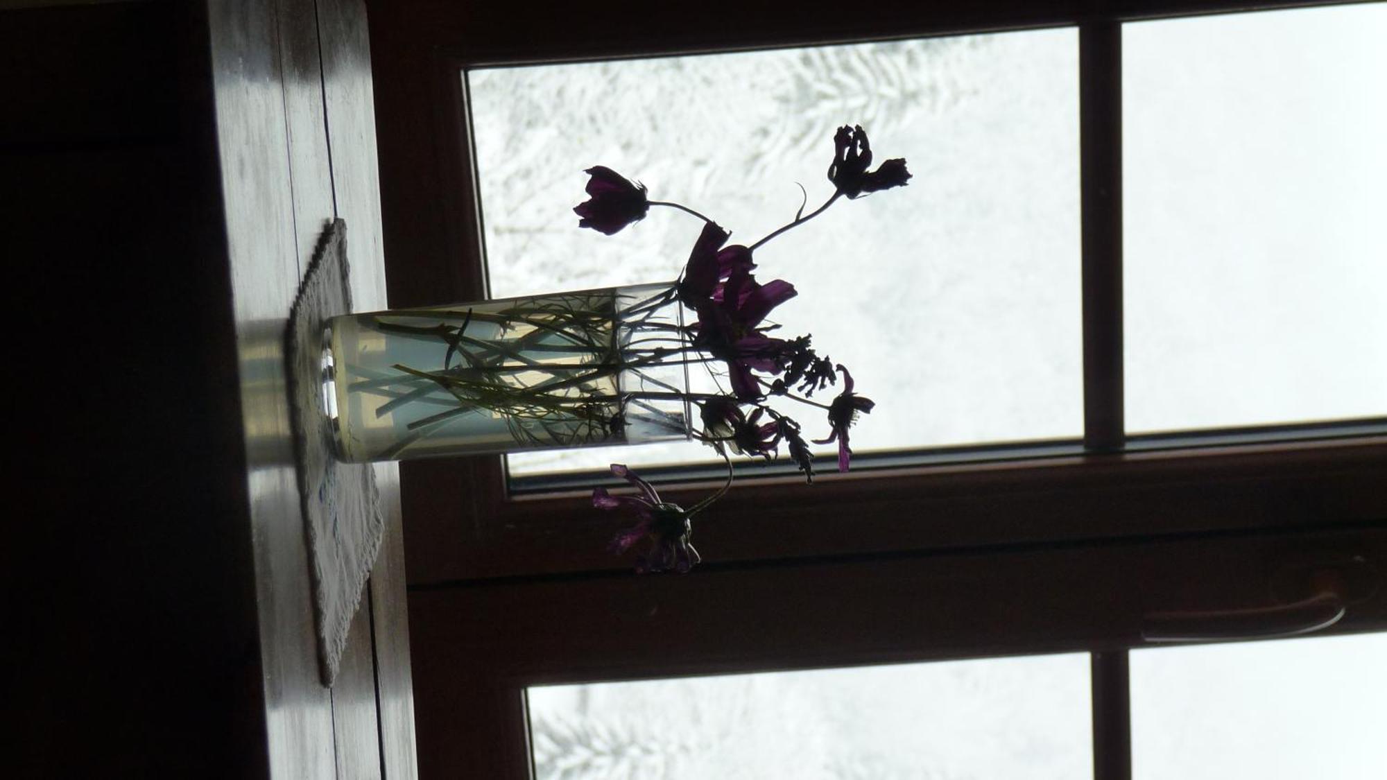 Saint-Pierre-d'Entremont  La Chouette A L'Heure Du Pinson B&B 객실 사진
