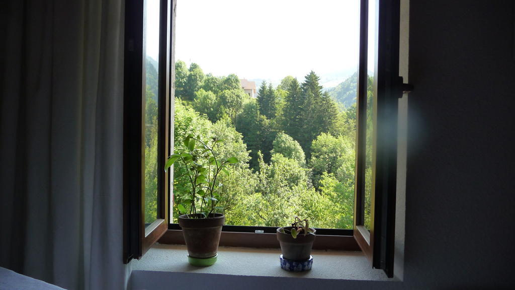 Saint-Pierre-d'Entremont  La Chouette A L'Heure Du Pinson B&B 외부 사진