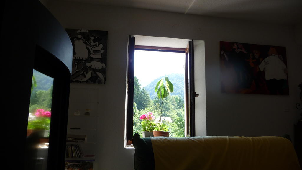 Saint-Pierre-d'Entremont  La Chouette A L'Heure Du Pinson B&B 외부 사진