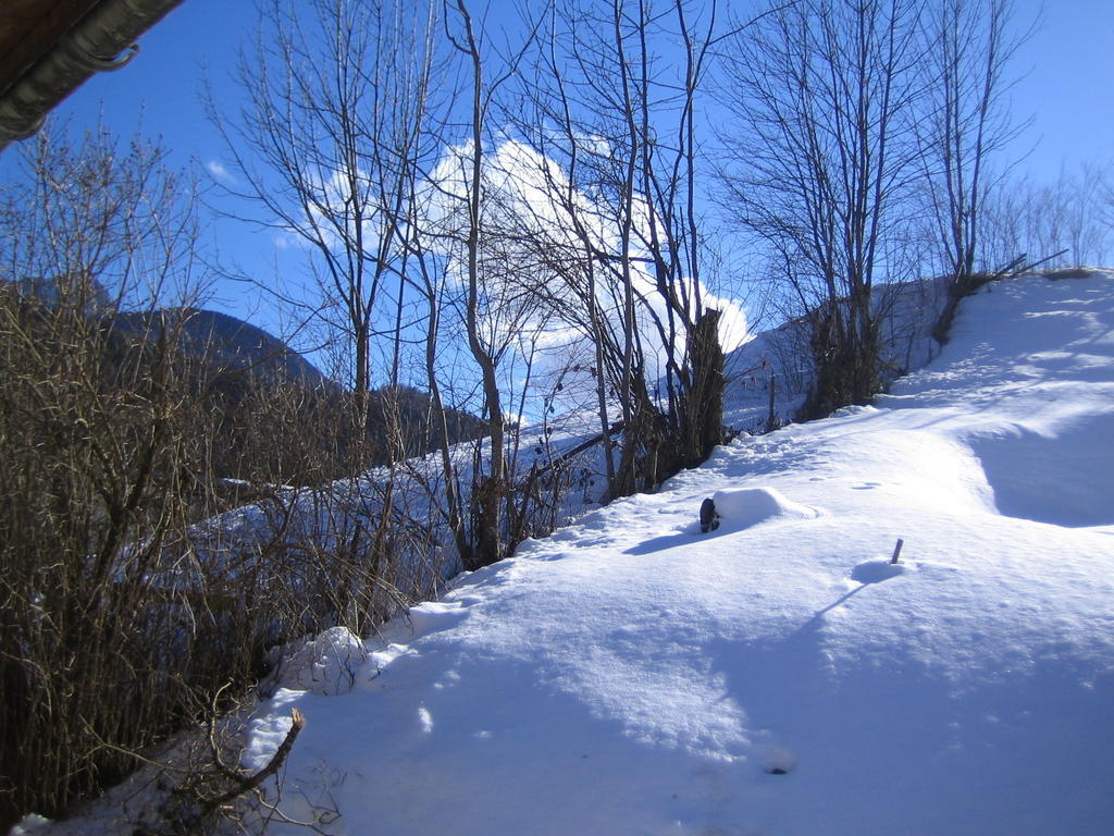 Saint-Pierre-d'Entremont  La Chouette A L'Heure Du Pinson B&B 외부 사진